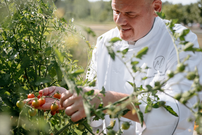 Seasonal produce and ingredients