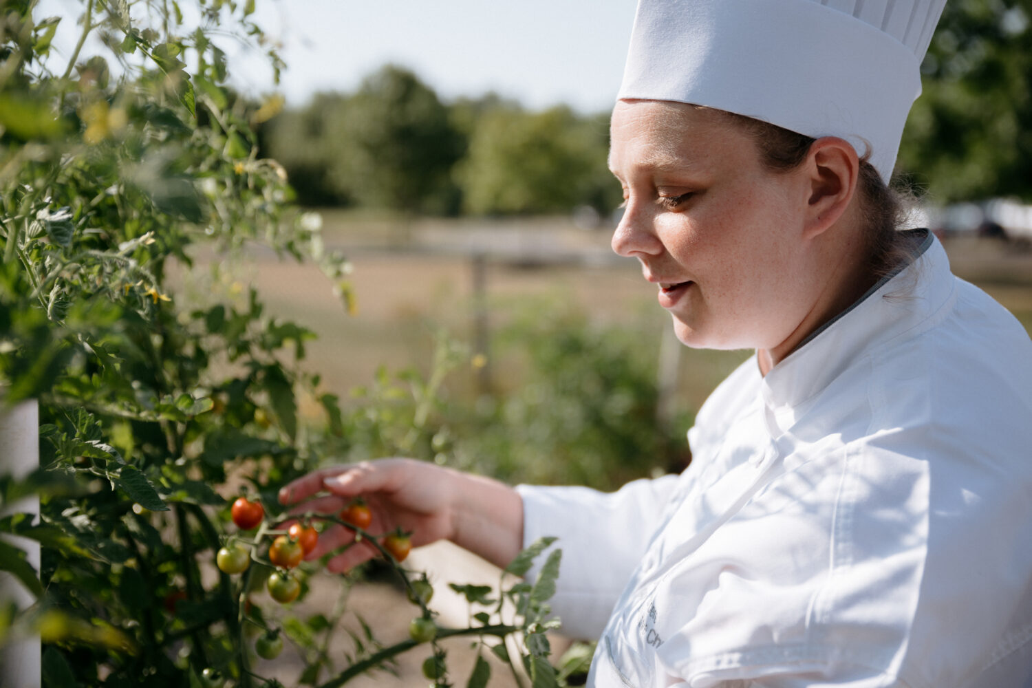 chef with fresh tomatoes