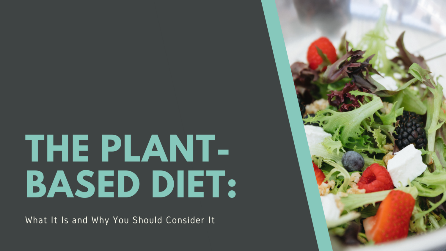 plant based diet