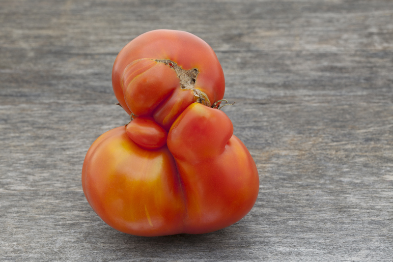 Imperfect Tomato