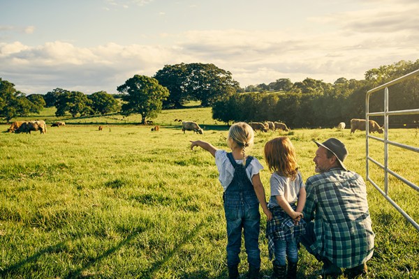 Father and Daughters looking out into a pasture