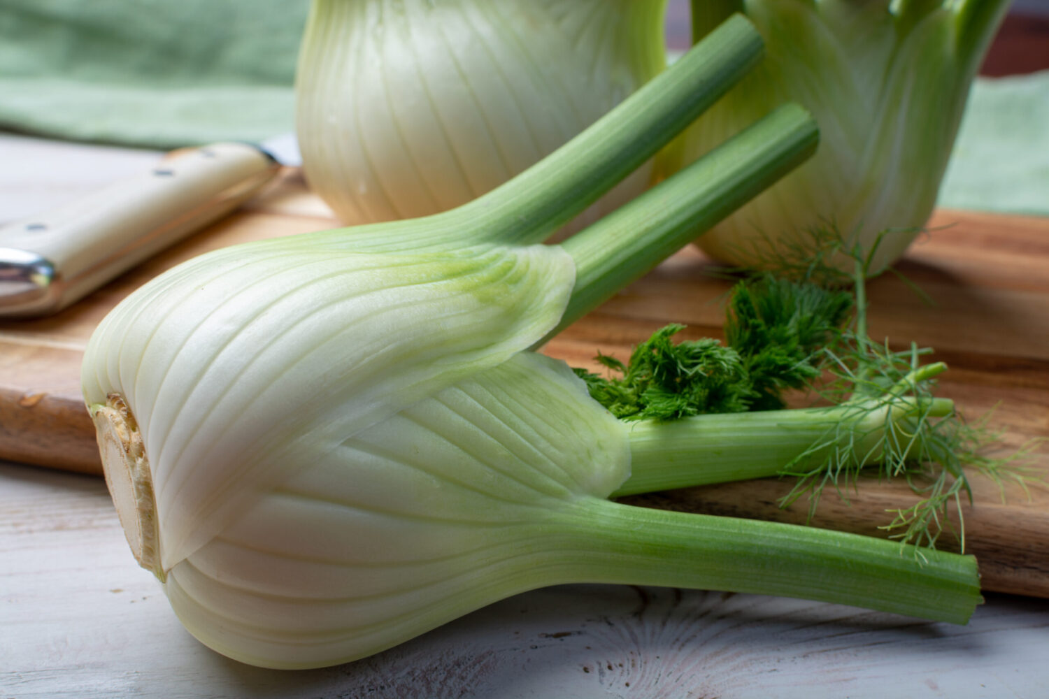 Healthy vegetable diet, raw fresh florence fennel bulbs close up