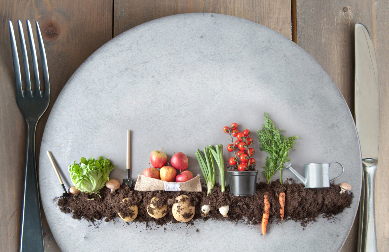 Organic fruits and vegetables garden on a kitchen plate