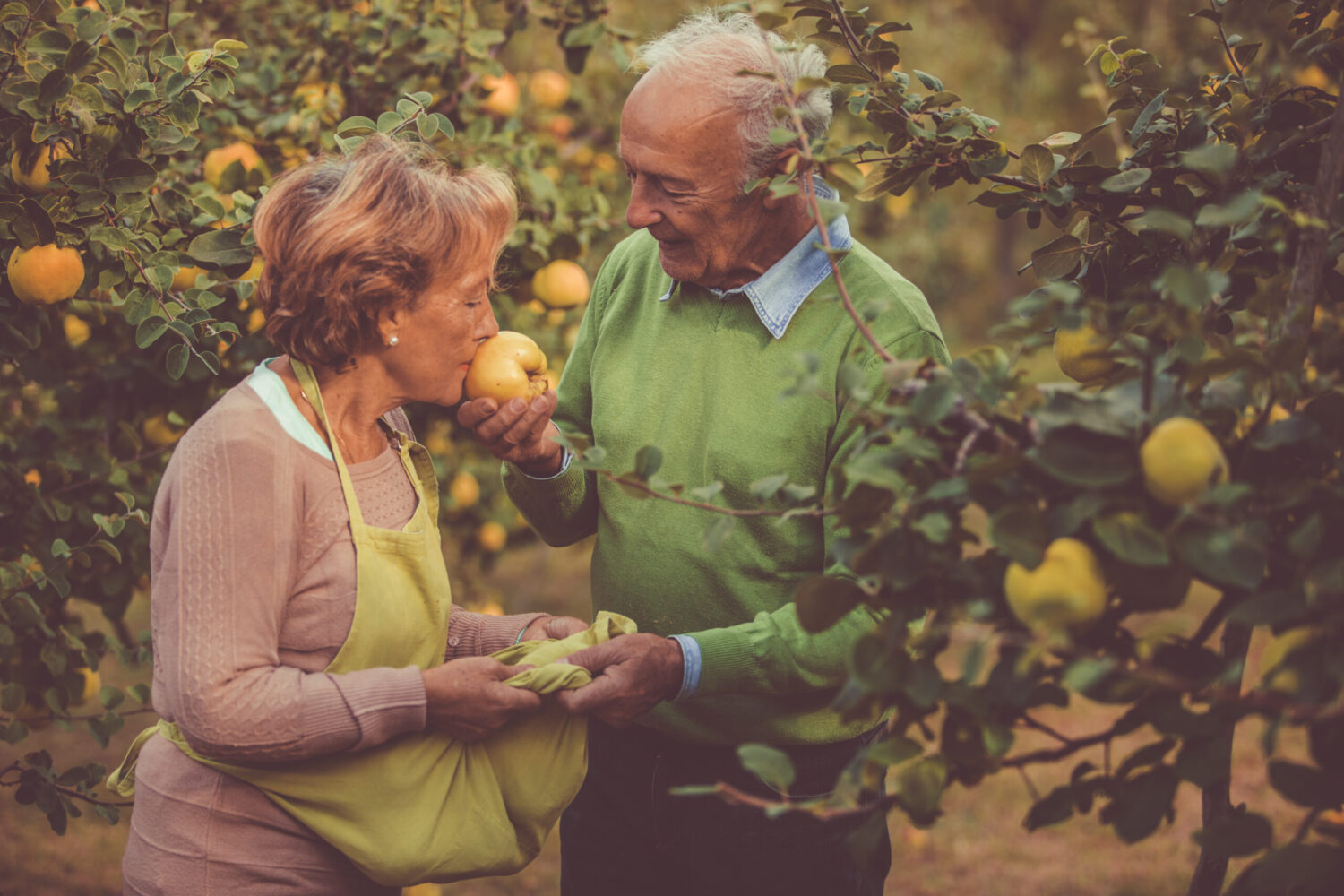 Seniors smelling ripe quince in orchard