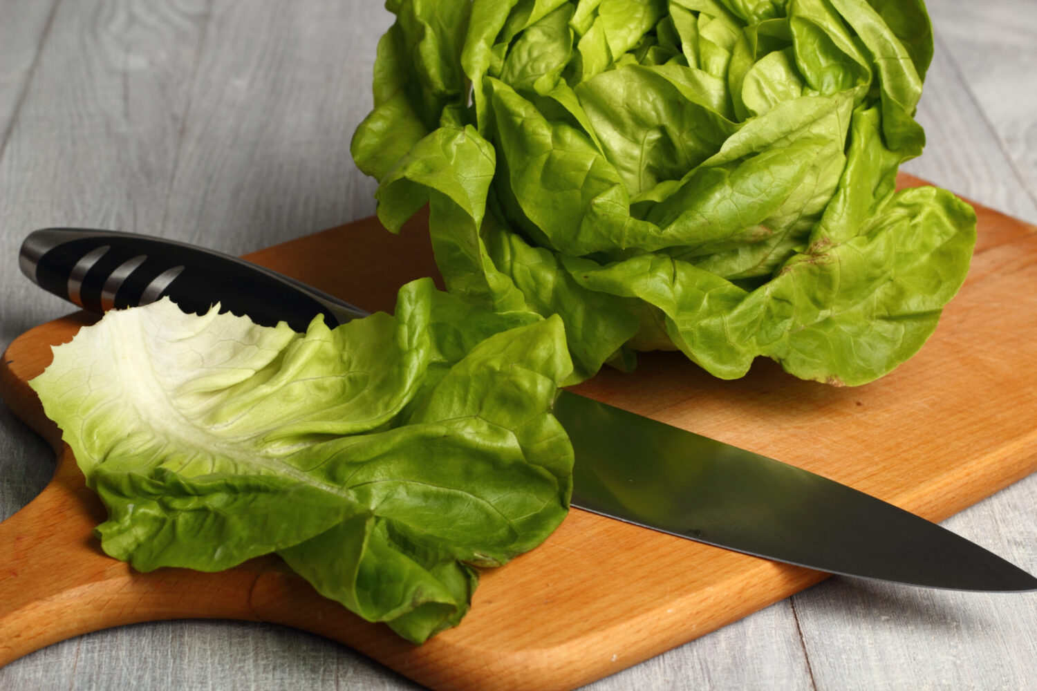 Butter Lettuce