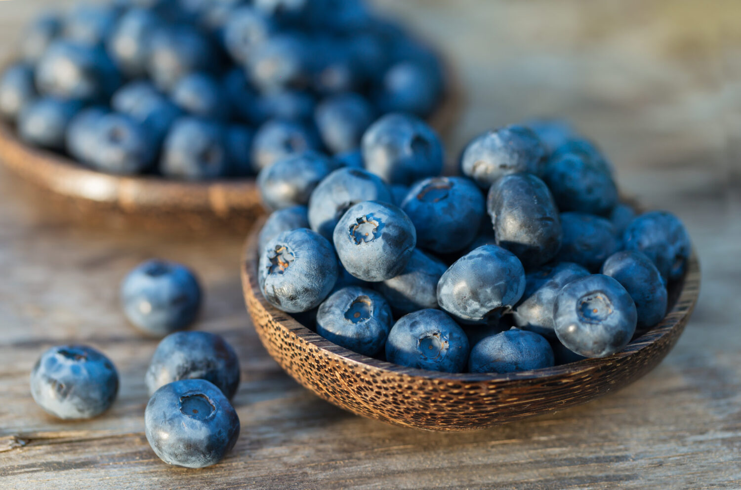 Blueberries in garden