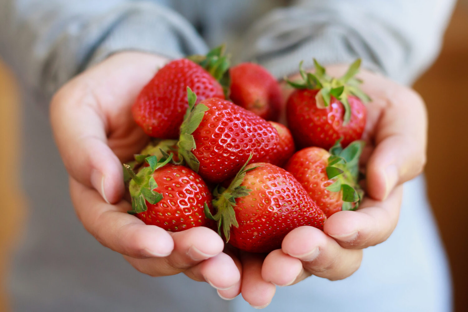 holding fresh strawberry in hands