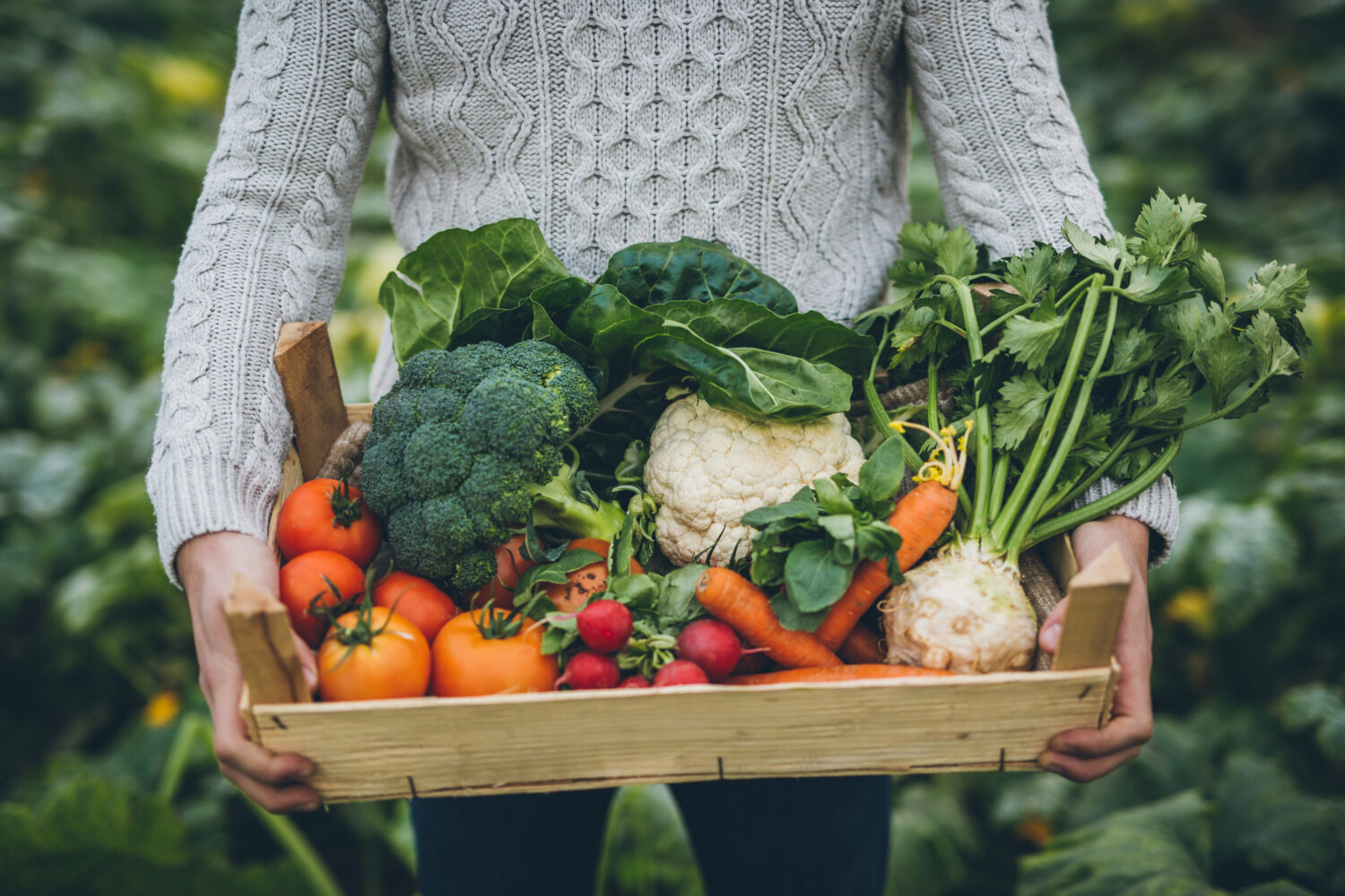 Portrait of happy male carrying vegetables in crate at farm